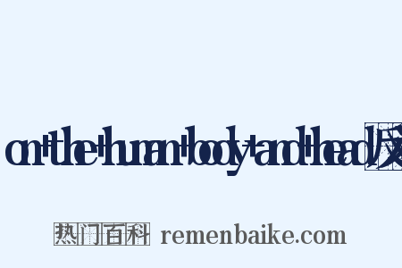 on+the+human+body+and+head反义词是什么意思的图片